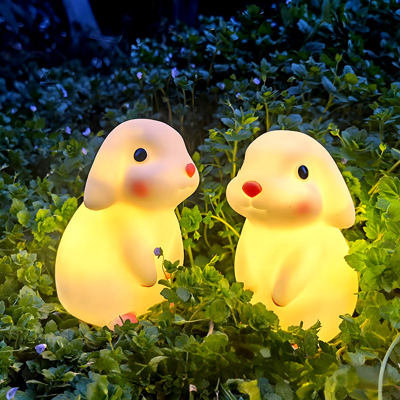 LED Night Light